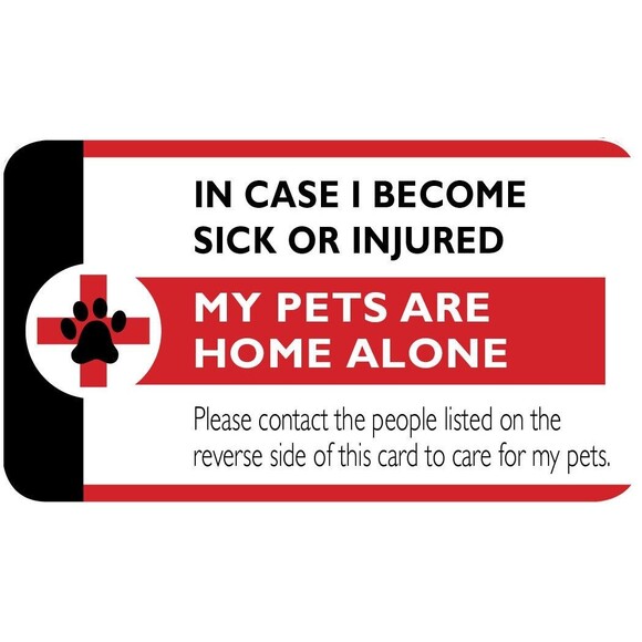 In Case Of Emergency Pet Cards - Set of 2 - Picture 2 of 3